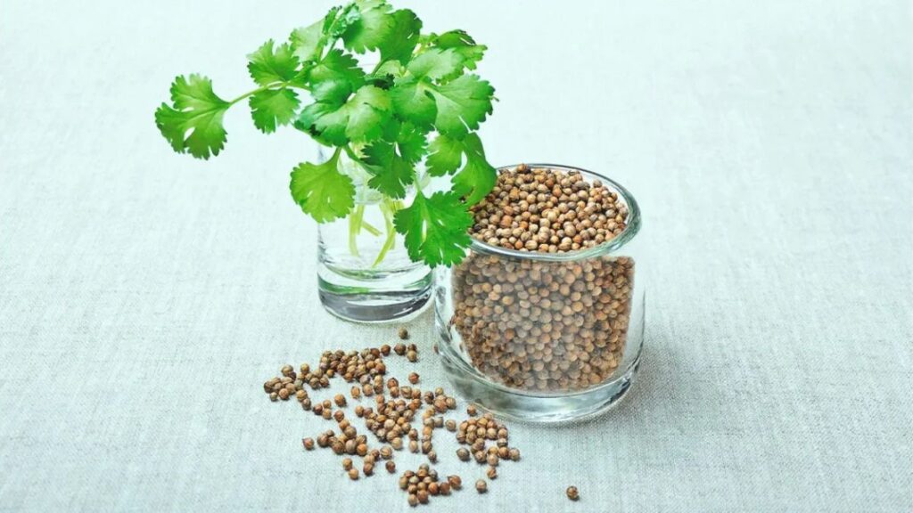 Health Benefits of Koriandri: Why You Should Add It to Your Diet Today